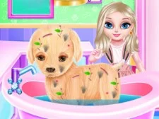 Baby Elsa Puppy Վիրաբուժություն