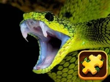 Snake Puzzle մարտահրավեր